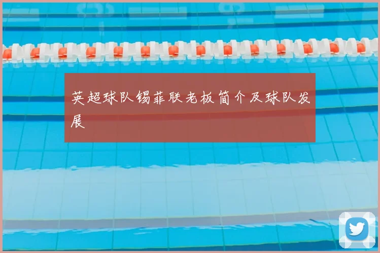 英超球队锡菲联老板简介及球队发展