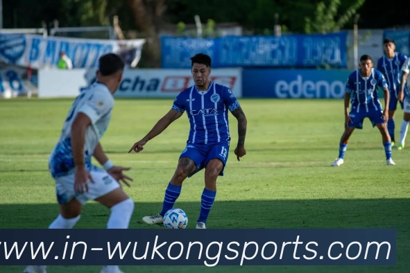 悟空体育平台生态图