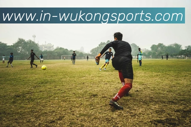 辅助工具 辅助工具